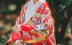 网游之风流骑士txt下载